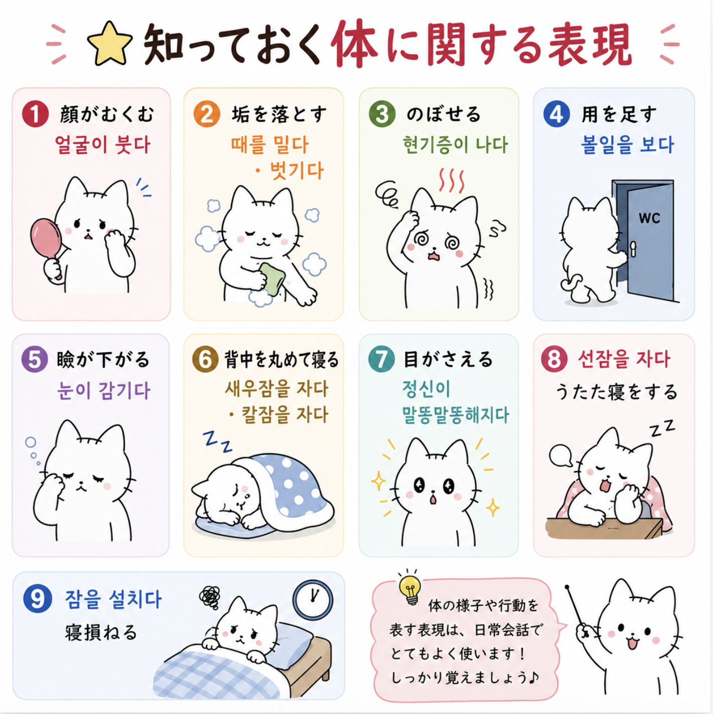 知っておく「体 몸」に関する表現