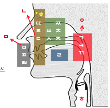 発音矯正レッスン